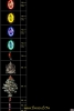 gameofmir��������npc��������ȫ