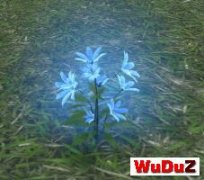 ��ˮ������ׯ԰���������淨����