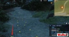 ��ˮ����������������ô�� ��������������ɹ���