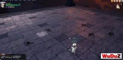 ��ˮ���ѵ�Ǭ��������ô���� �ѵ�Ǭ������������